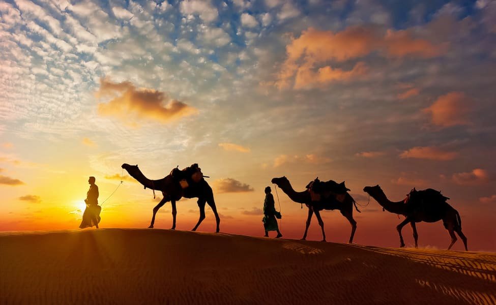 Camel Safari in Jaisalmer